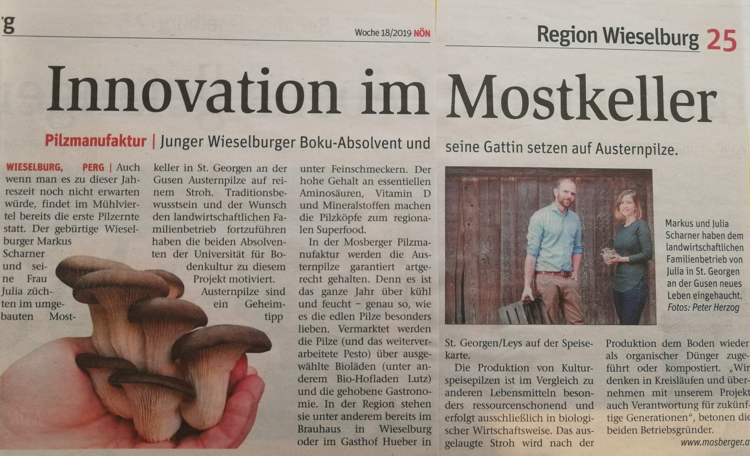 Read more about the article NÖN: Innovation im Mostkeller