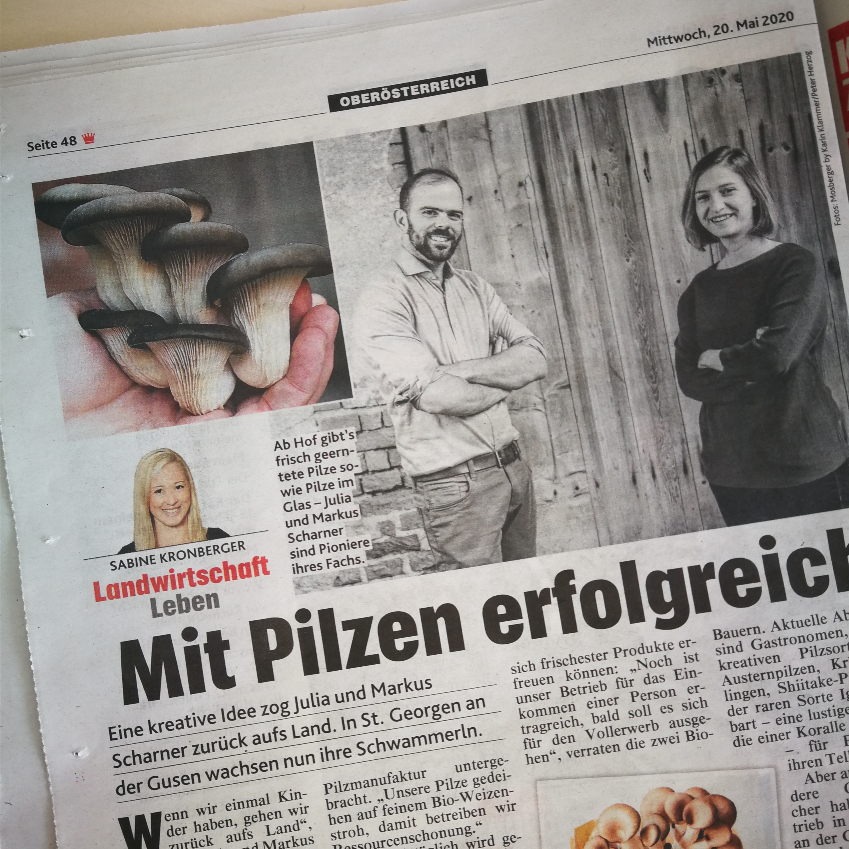 Read more about the article Kronen Zeitung: Mit Pilzen erfolgreich